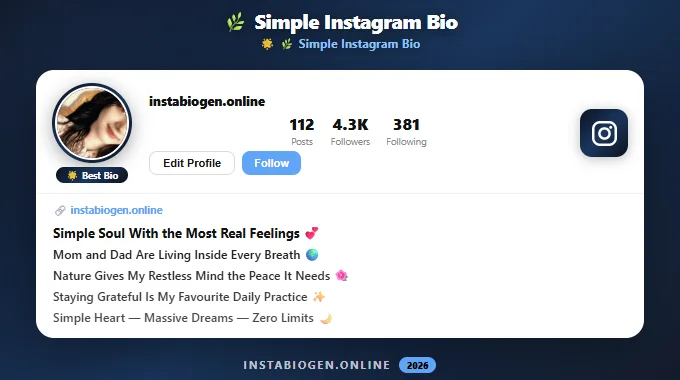Best Instagram Bios for Students