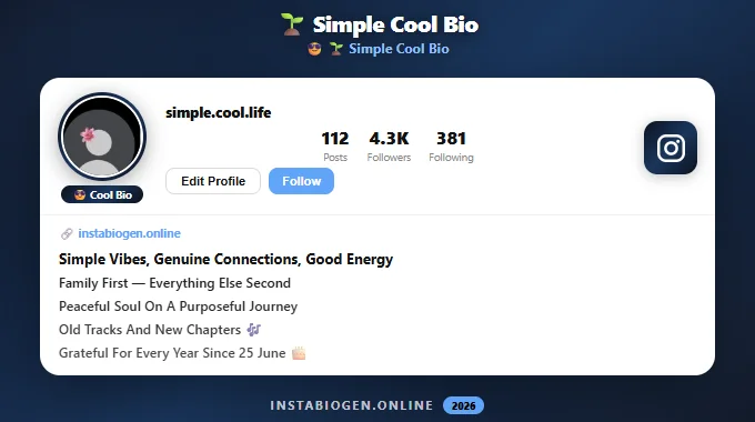 Simple Cool Bio for Instagram