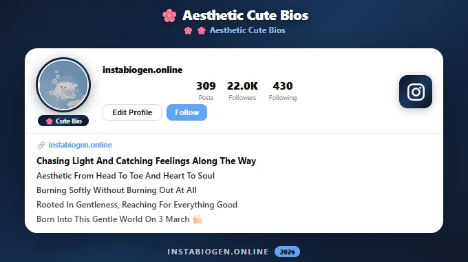 Aesthetic Cute Instagram Bios